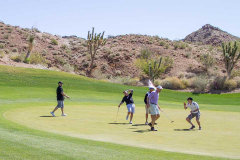 2016-Golf-91