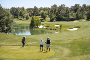 8aJCM_Golf_501_Studios_05-08-24_1115935143
